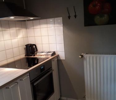 Ofenerdiek House | Blockhausperle im Grunen