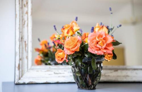 Tolkmicko Apartment | Blossom Hill Apartments