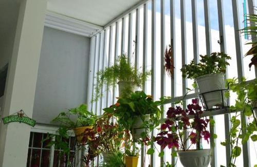 Tuy Hoa House | Blossom Homestay