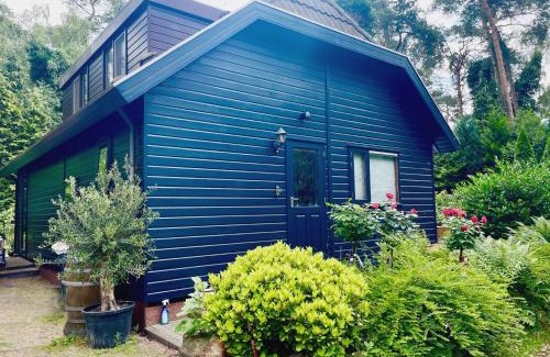 Municipality of Elburg Ski Chalet | Blue Artist chalet Veluwe