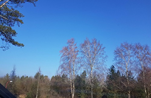 Ostvorpommern Apartment | Blue beach house behind the dune - 1st row, 20m to the beach - Blue beach house