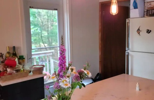 Athens Cottage | Blue Bird's Nest - cozy 3 bedroom lakeside cottage