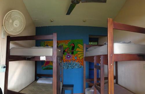 Puerto Soley Hotel | Blue Dream Kite Boarding Resort Costa Rica