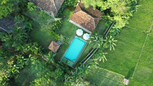 Bangunjiwo House | Blue Garden Yogyakarta