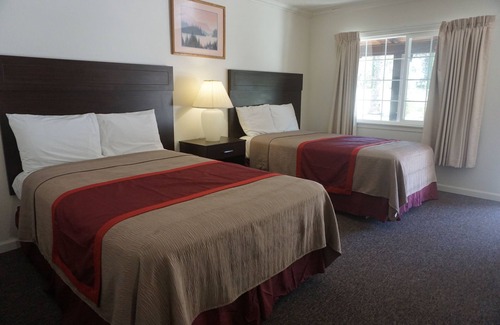 Willows Hotel | Blue Gum Motel
