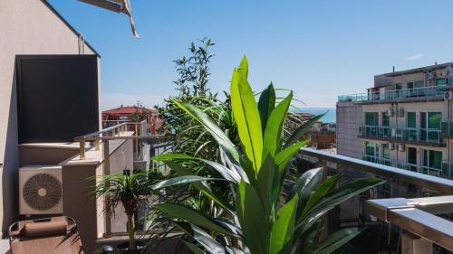 Sarafovo Apartment | Blue Holiday Apartment