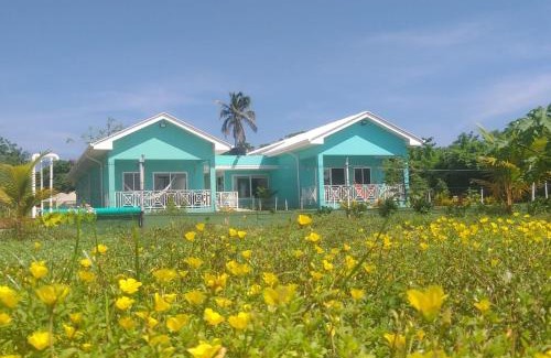 Punta Sur Cabin | Blue Lizard House