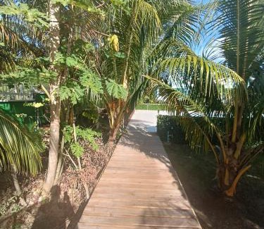 Punta Sur Cabin | Blue Lizard House