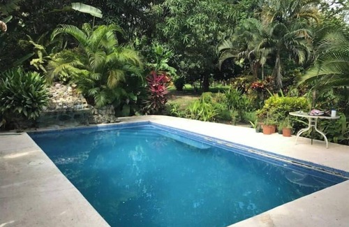 Cabuya House | Blue Morpho House