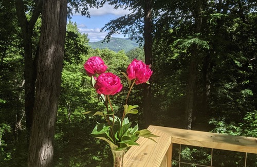 Cullowhee Cabin | Blue Mountain Cabin minutes away from Lake Glenville public beach