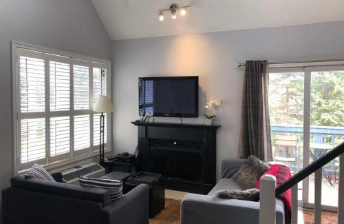 Craigleith House | Blue Mountain Escape, WIFI, Base of North lift