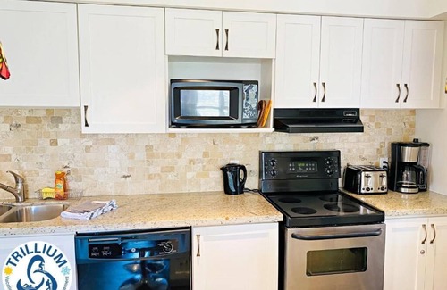 Craigleith Apartment | Blue Mountain Suites