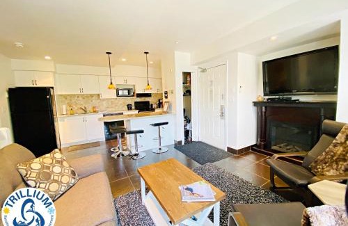 Craigleith House | Blue Mountain Suites