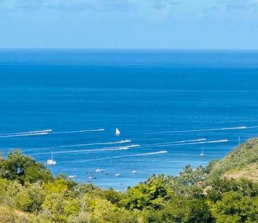 Le Carbet Villa | Blue Mountain Villa