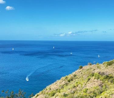 Le Carbet Villa | Blue Mountain Villa