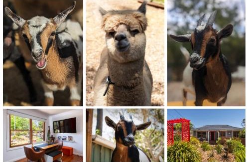 Hazelbrook House | Blue Mountains Urban Farm Stay near Sydney