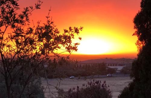 Bloemfontein House | Blue Rain Guest House