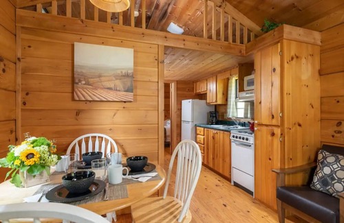 Candler Cabin | Blue Ridge Mountain Cabin near Asheville at Engadine Inn and Cabins