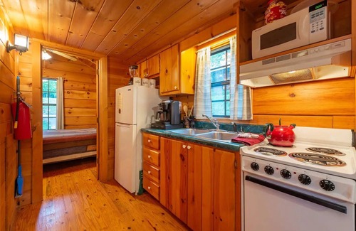 Candler Cabin | Blue Ridge Mountain Cabin near Asheville at Engadine Inn and Cabins