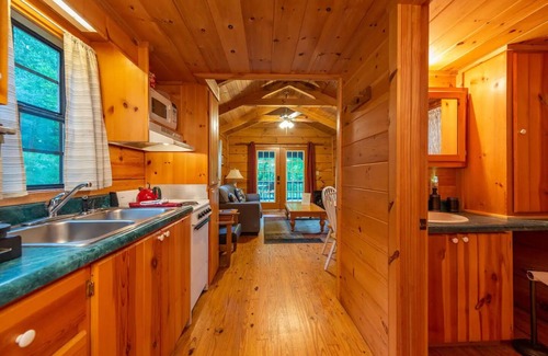 Candler Cabin | Blue Ridge Mountain Cabin near Asheville at Engadine Inn and Cabins