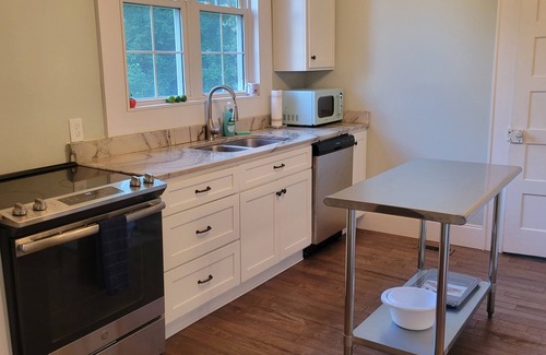 Hartwell House | Blue Rose Bungalow: Downtown vibe w/1896 charm. Lake Life. Gym. Kitchen. Parking