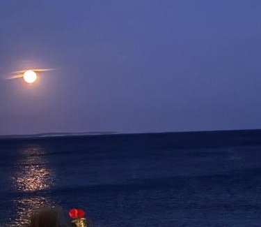 Makry Gialos House | Blue Sea Villa & Apartments