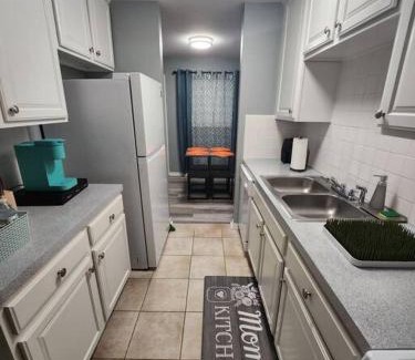Braeswood Place Apartment | Blue Shark *B2* @ Bellaire 1BR King Apartment Near Medical Center