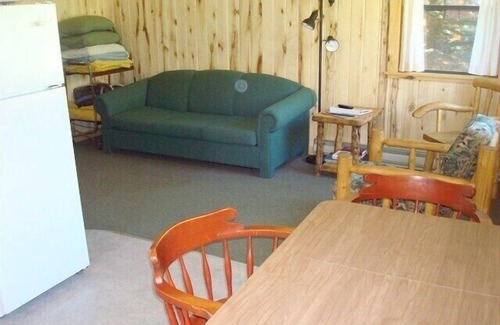 Lake City Cabin | Blue Sky Cabin - Cute Cabin Along the Lake Fork of the Gunnision