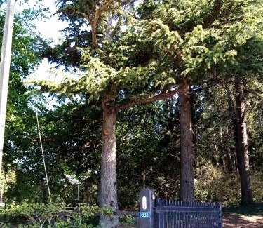 Timaru Bed & Breakfast | Blue Stone