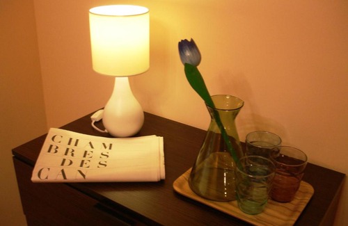 De Weteringschans Bed & Breakfast | Blue Tulip Amsterdam