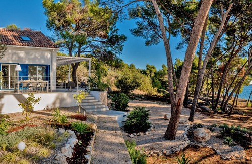 Maslinica Villa | Blue Villa Solta with a big Olive orchard around just in front the Sea!