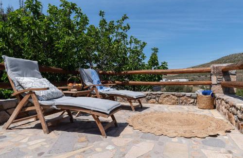 Skala Apartment | Blue Vista Patmos pool studio