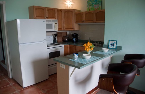 Estate Western Water Island Apartment | Blue Vista Too: Oceanfront Apartment, Central Location