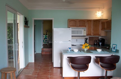 Estate Western Water Island Apartment | Blue Vista Too: Oceanfront Apartment, Central Location
