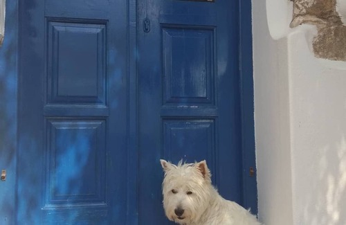 Galini House | Blue&White: An Absolut Aegean dream house-relax and unwind!