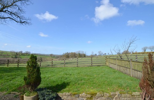 Felinfach Cottage | Bluebell Cottage