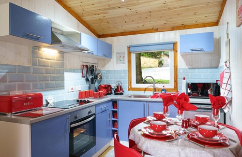 Cenarth Ski Chalet | Bluebell Lodge set in a Beautiful 24 acre Woodland Holiday Park