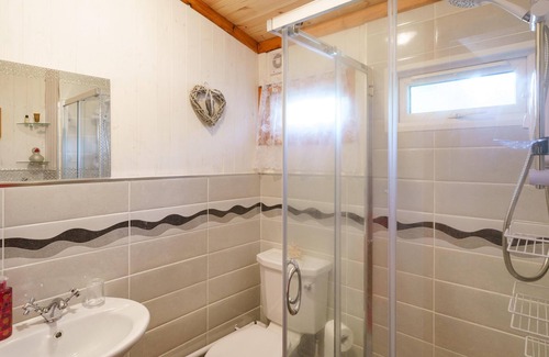 Cenarth Ski Chalet | Bluebell Lodge set in a Beautiful 24 acre Woodland Holiday Park