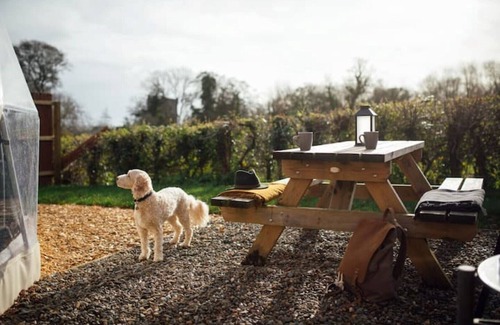 Lawrenny Cabin | Bluebell, Luxury Dome with private Hot Tub