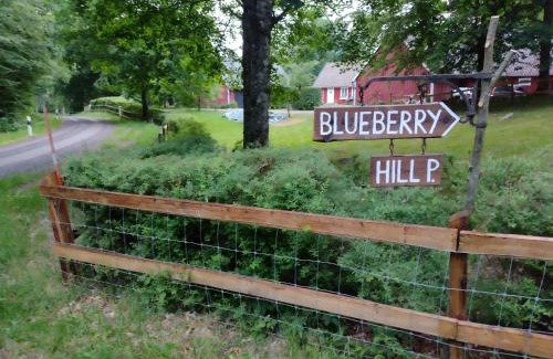 Orkelljunga Municipality House | Blueberry Hill