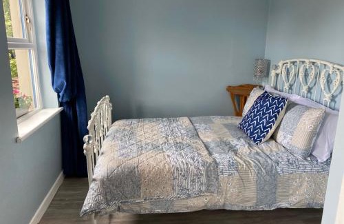 Shanavooneen House | Blueberry Tiny Home