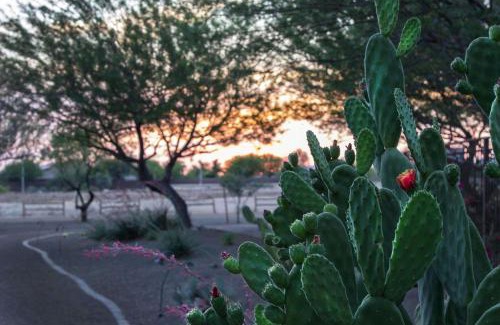 Cibola Vista Resort | Bluegreen Vacations Cibola Vista Resort and Spa, an Ascend Collection Resort