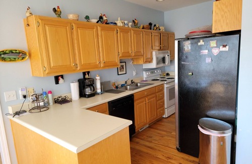 Fair Play House | Blues Brothers Hideaway - Lakefront - Fenced yard - Pets Welcome - Clemson 20 mi