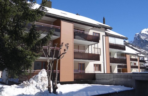 Engelberg Apartment | Blumenweg 6 by Interhome