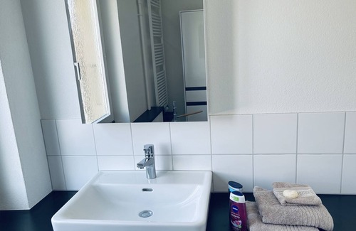 Zollikofen House | Blumiges Appartement 7 Min. von Bern-Zentrum entfernt