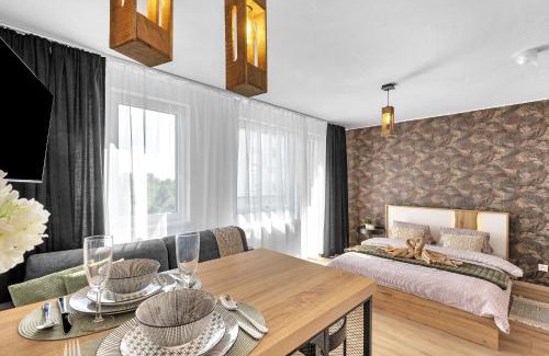 Ruzinov Apartment | BNB Apartment near BTS Airport