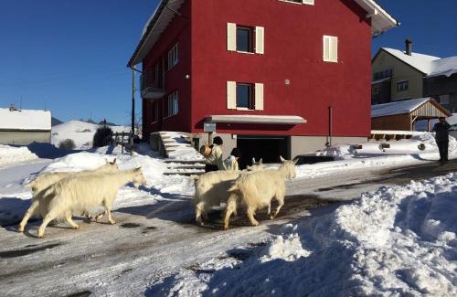 Hundwil Bed & Breakfast | BnB chezlise