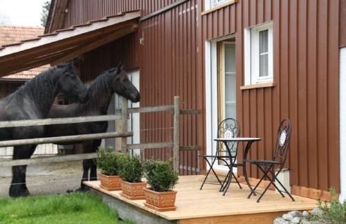 Haag Bed & Breakfast | BnB Haag