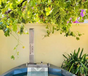 Bo'Kaap House | Bo-Kaap hidden gem with Hot Tub