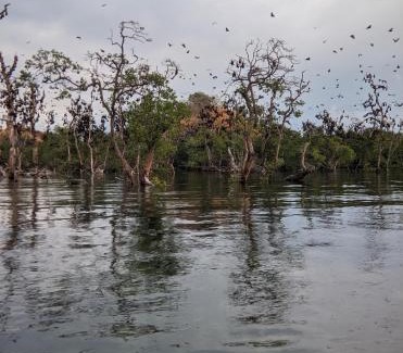 Riung Boat Rental | Boa Ende Trip